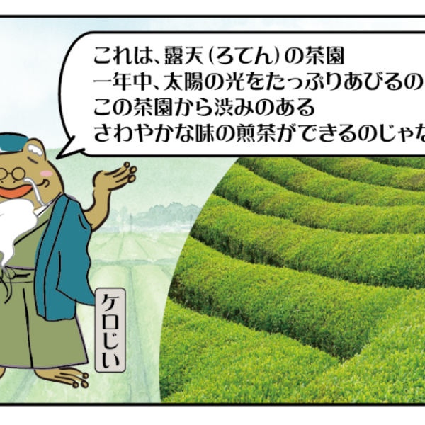 「おいしい茶園」森のくま半４コマ漫画③